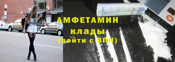 прущие грибы Алзамай