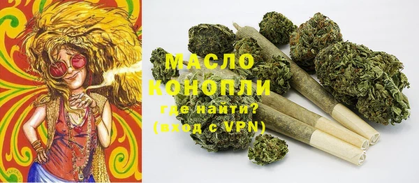 прущие грибы Алзамай