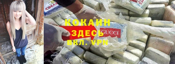 прущие грибы Алзамай