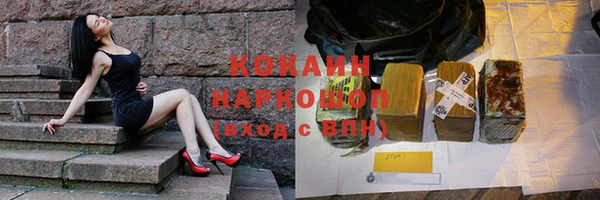 прущие грибы Алзамай